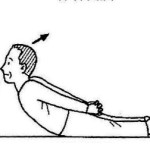 パーキンソン病体操／背筋運動