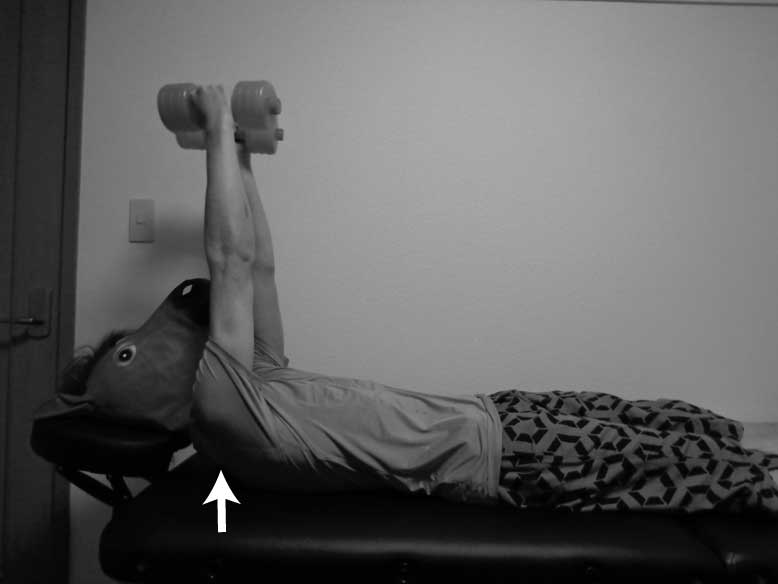 肩甲帯周囲筋,トレーニング,腱板損傷,方法,小胸筋,前鋸筋