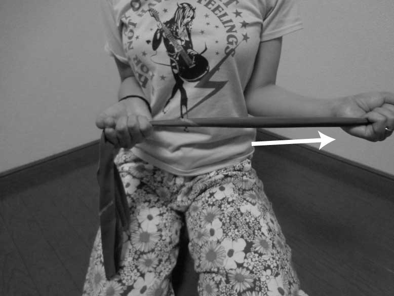 腱板筋,トレーニング,腱板断裂,方法,小円筋,棘下筋