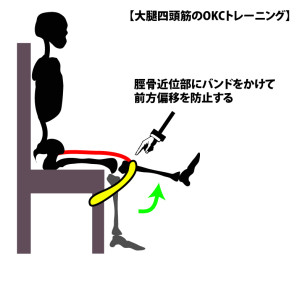 大腿四頭筋のOKCトレーニング