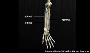 手根管症候群の自己検査：チネル検査