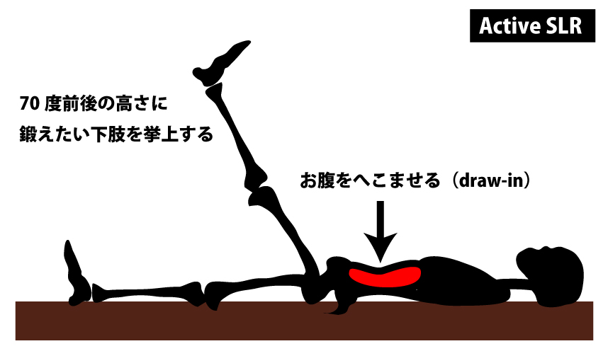 Active-SLR｜大腰筋の筋力トレーニング