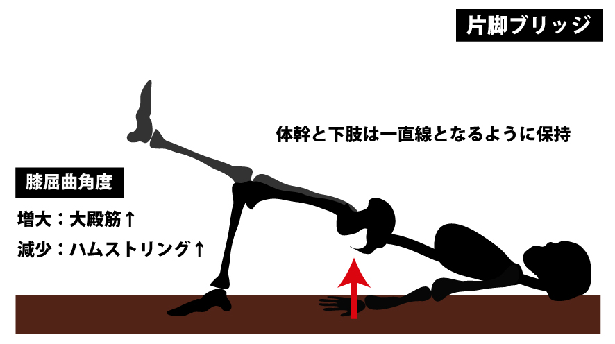 片脚ブリッジ｜多裂筋を鍛える方法