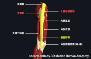 %e8%85%b8%e8%84%9b%e9%9d%ad%e5%b8%af