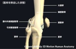 %e8%85%b8%e8%84%9b%e9%9d%ad%e5%b8%af%e7%82%8e%e3%81%ae%e7%97%87%e7%8a%b6