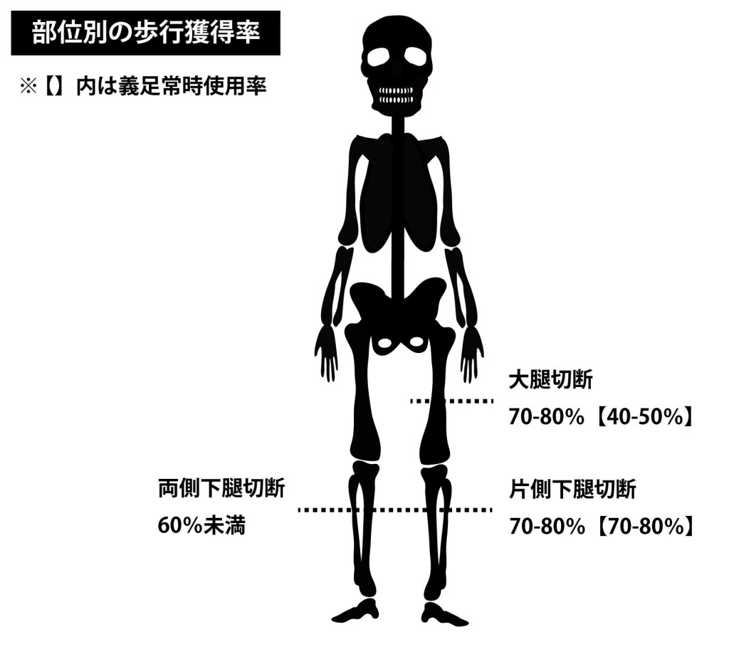 下肢切断｜歩行獲得率