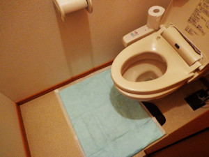 介護シーツの使い方トイレ編