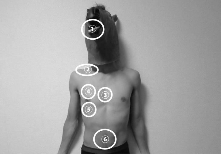 呼吸の動きをみる部位