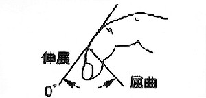 手指DIP関節屈曲・伸展の関節可動域（正常値）