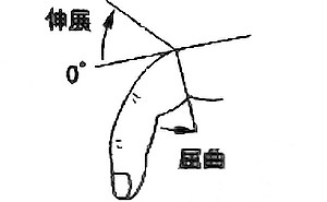 手指MCP関節屈曲・伸展の関節可動域（正常値）