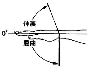 手関節掌屈・背屈の関節可動域（正常値）