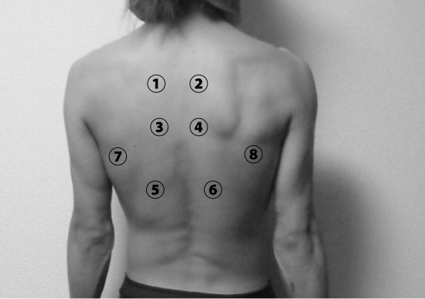 胸部打診の部位と方法２