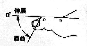 母趾IP関節屈曲・伸展