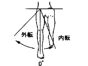 股関節内転・外転の関節可動域（参考値）