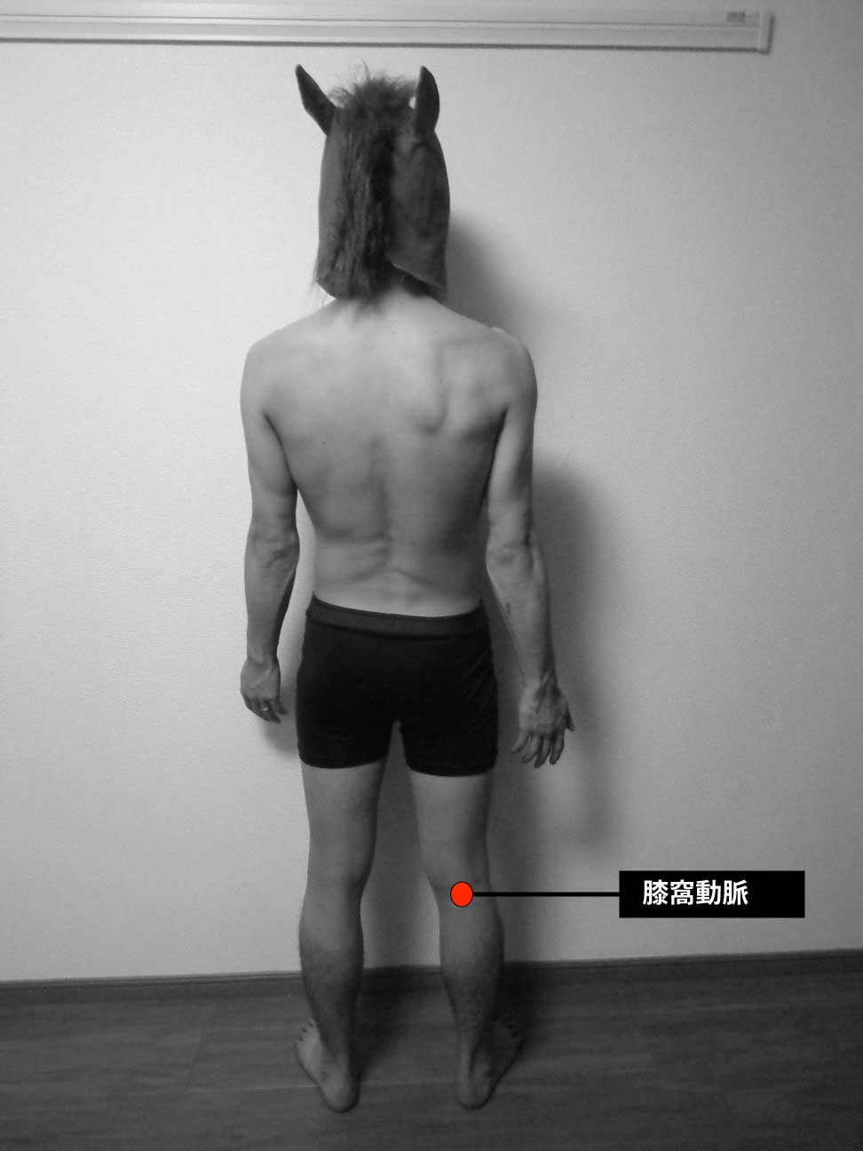 脈拍の計測部位｜後面