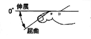 足趾PIP関節屈曲・伸展