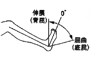足関節背屈・底屈