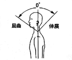頸部屈曲・伸展