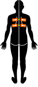 テーピング治療｜体幹屈曲可動域の増大