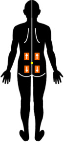 椎間板ヘルニアに対するテーピング治療｜腰椎屈曲可動域制限
