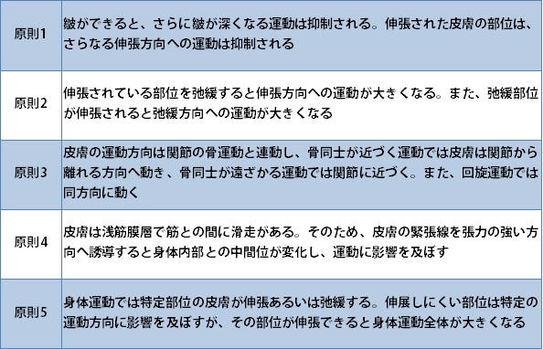 皮膚運動の原則
