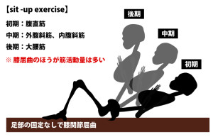 sit-up｜内腹斜筋｜外腹斜筋の筋力トレーニング