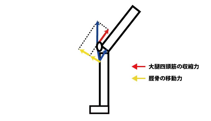膝蓋骨がある場合｜力学