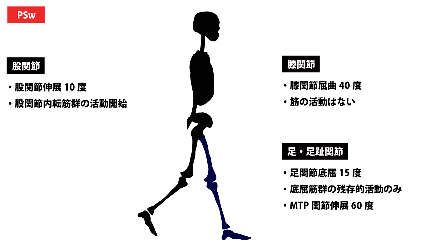 足の機能解剖と歩行分析DVD