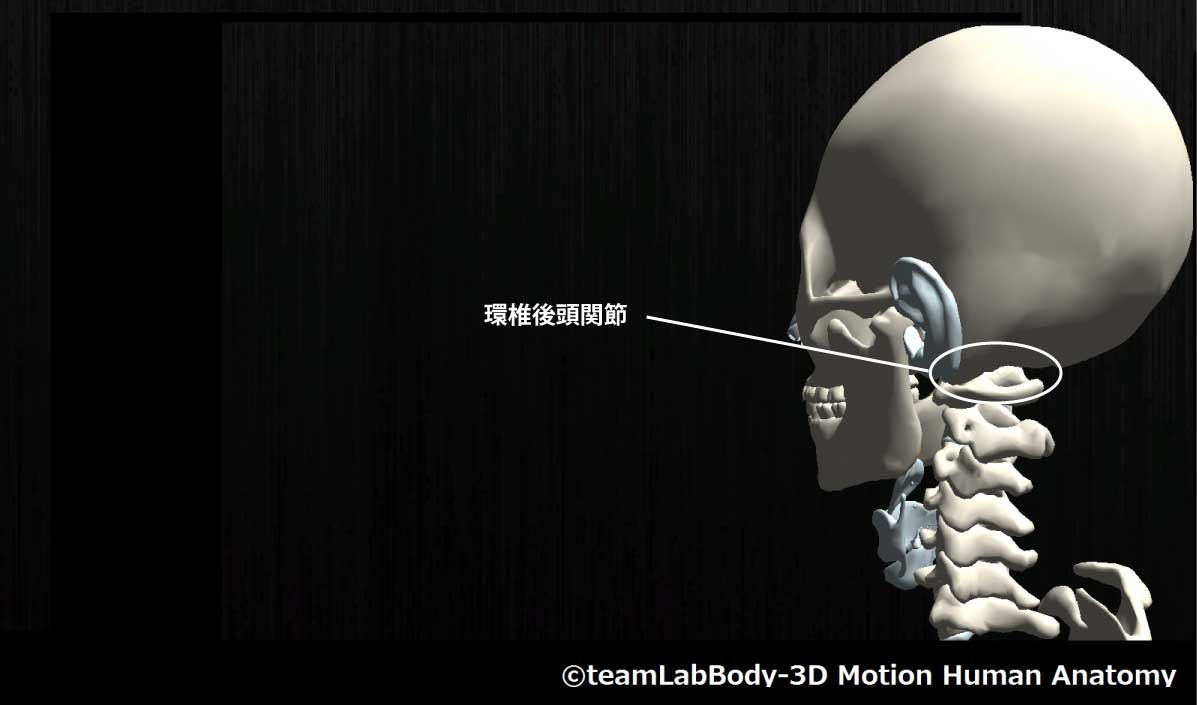 環椎後頭関節