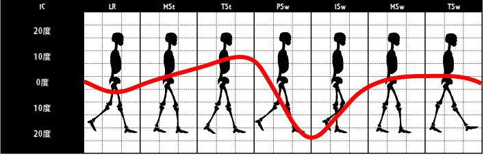 足関節の角度｜正常歩行②