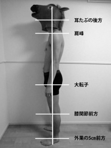 立位側面の姿勢分析｜重心線の位置