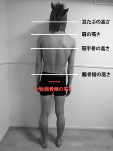 立位後面の姿勢評価