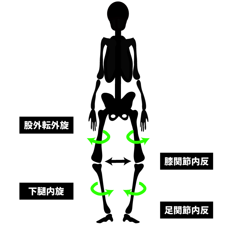 変形性膝関節症｜立位姿勢｜正面