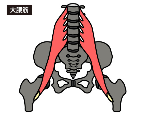 大腰筋