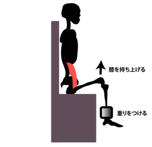 大腰筋の筋力トレーニング①