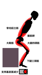 立ち上がり動作の流れ③