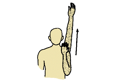 %e3%83%96%e3%83%ab%e3%83%b3%e3%82%b9%e3%83%88%e3%83%ad%e3%83%bc%e3%83%a0%e3%83%bb%e3%82%b9%e3%83%86%e3%83%bc%e3%82%b8%e2%85%a5%e2%91%a0