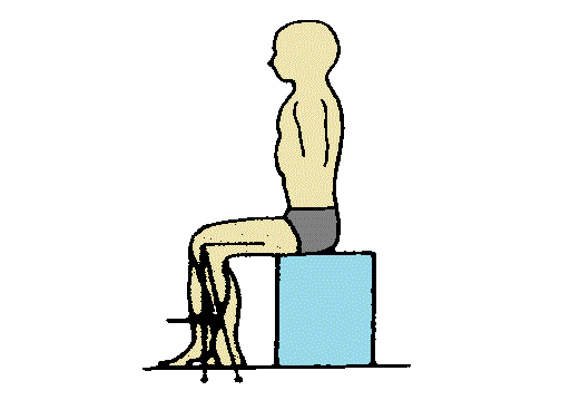 %e4%b8%8b%e8%82%a2%e3%83%96%e3%83%ab%e3%83%b3%e3%82%b9%e3%83%88%e3%83%ad%e3%83%bc%e3%83%a0%e3%83%bb%e3%82%b9%e3%83%86%e3%83%bc%e3%82%b8%e2%85%a3-2