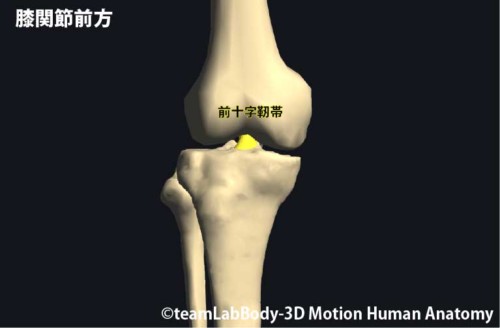 %e5%89%8d%e5%8d%81%e5%ad%97%e9%9d%ad%e5%b8%af%e5%89%8d%e9%9d%a2