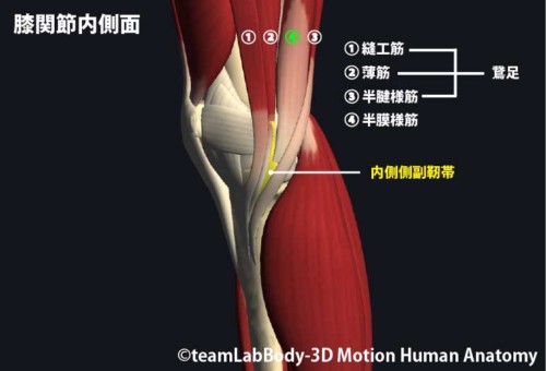 %e5%86%85%e5%81%b4%e5%81%b4%e5%89%af%e9%9d%ad%e5%b8%af%e3%81%a8%e9%b5%9e%e8%b6%b3