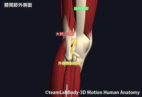 %e5%a4%96%e5%81%b4%e5%81%b4%e5%89%af%e9%9d%ad%e5%b8%af%e3%81%ae%e5%a0%b4%e6%89%80