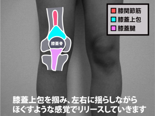 膝蓋上包のリリース