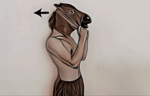 頭板状筋｜筋力トレーニング