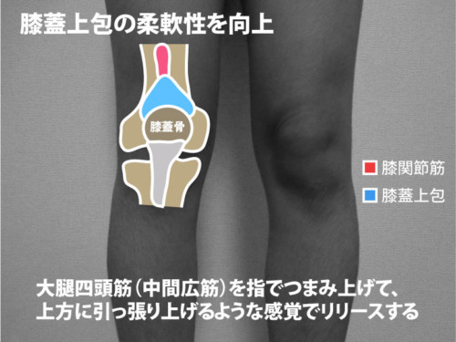 膝蓋上包の柔軟性向上